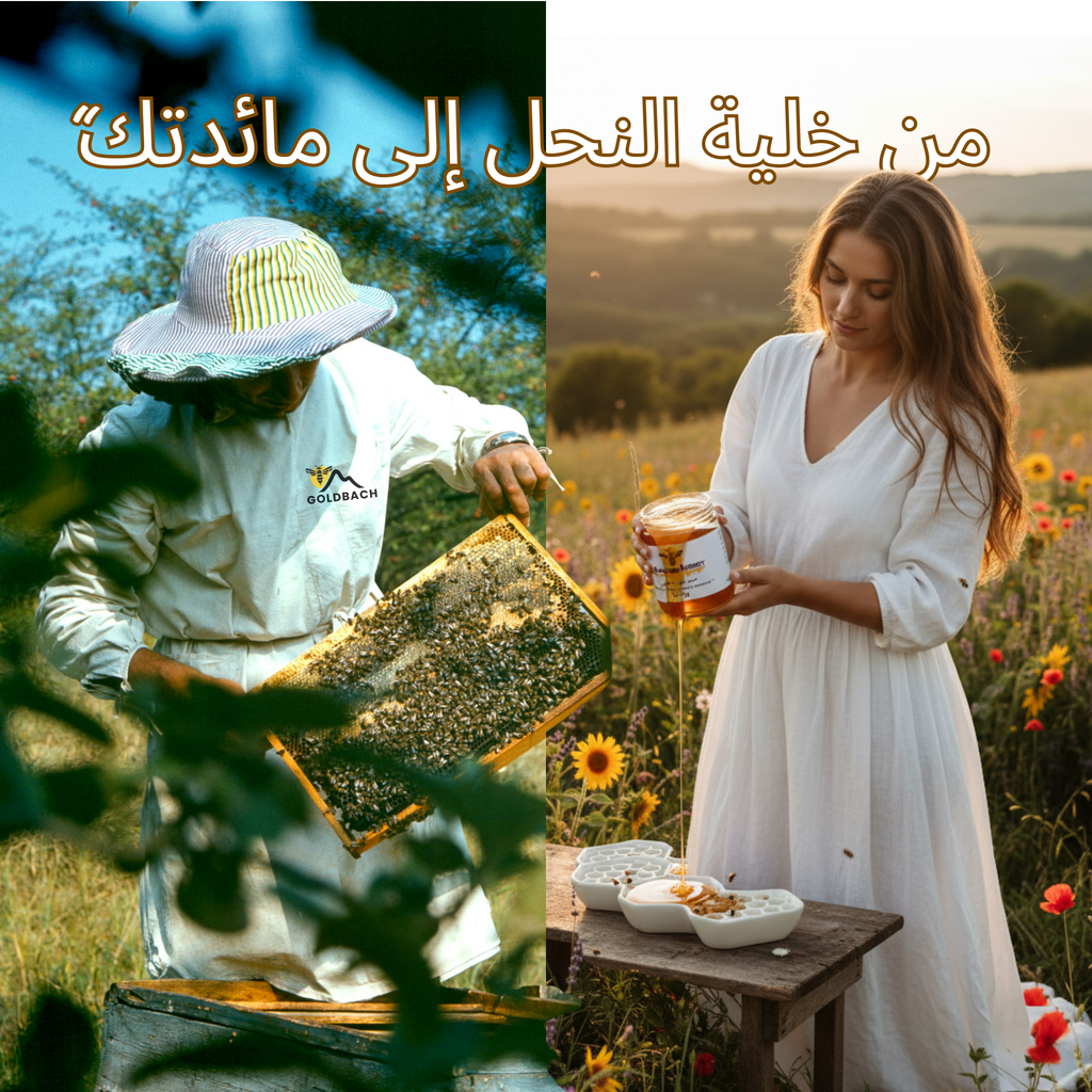 عسل غابات الألب