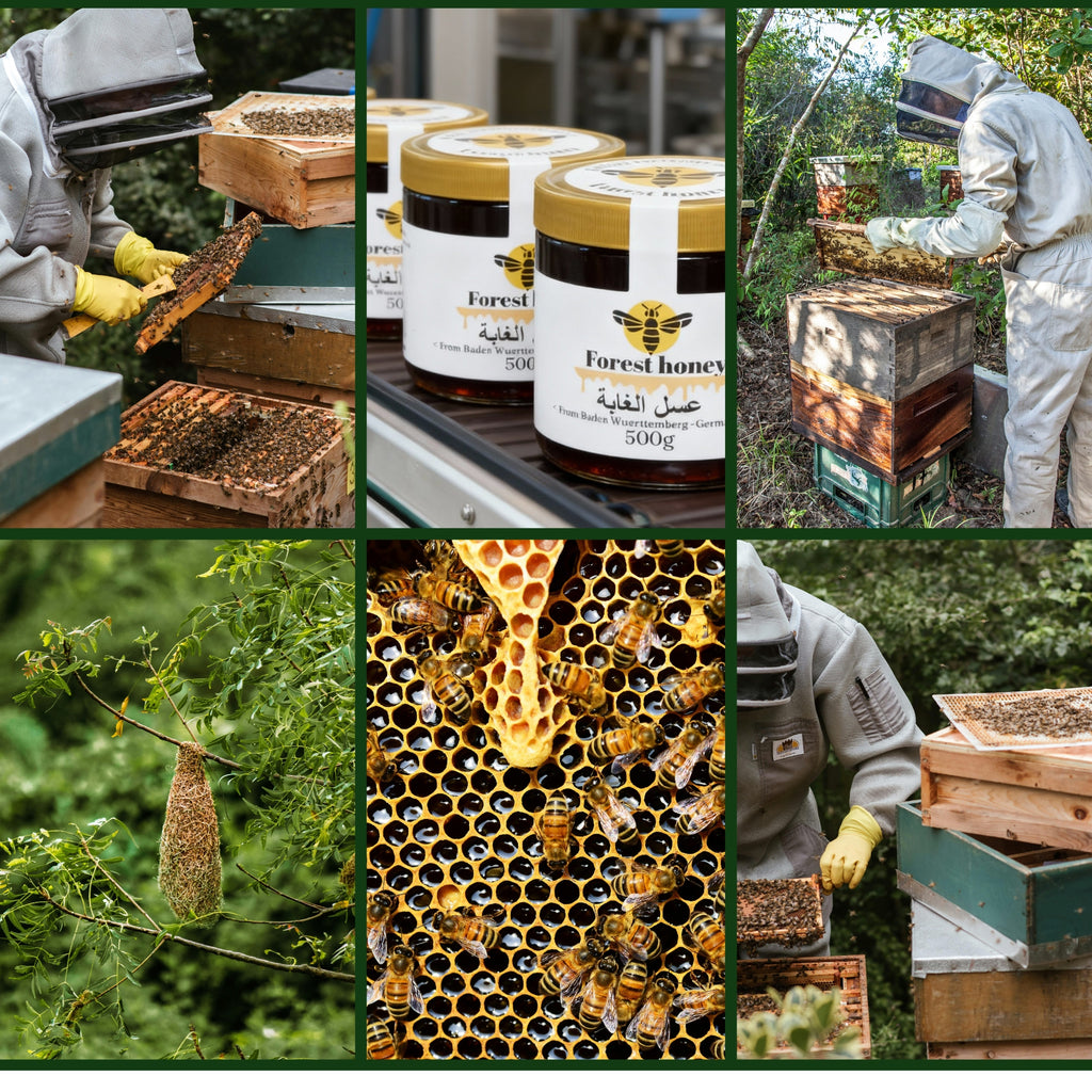 Forest Natural Honey