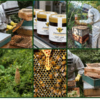 Forest Natural Honey