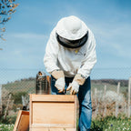 Natural Blossom Honey