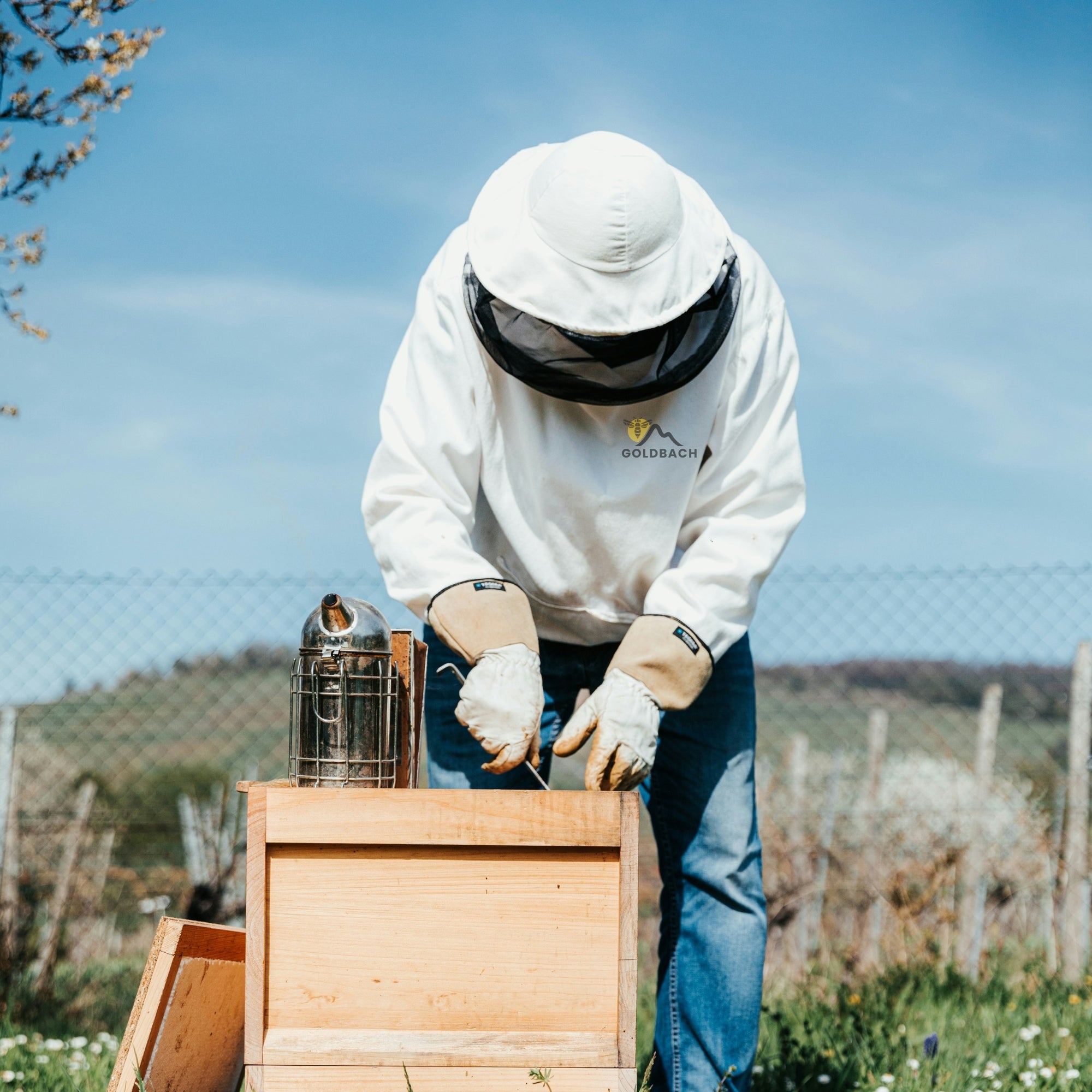 Natural Blossom Honey