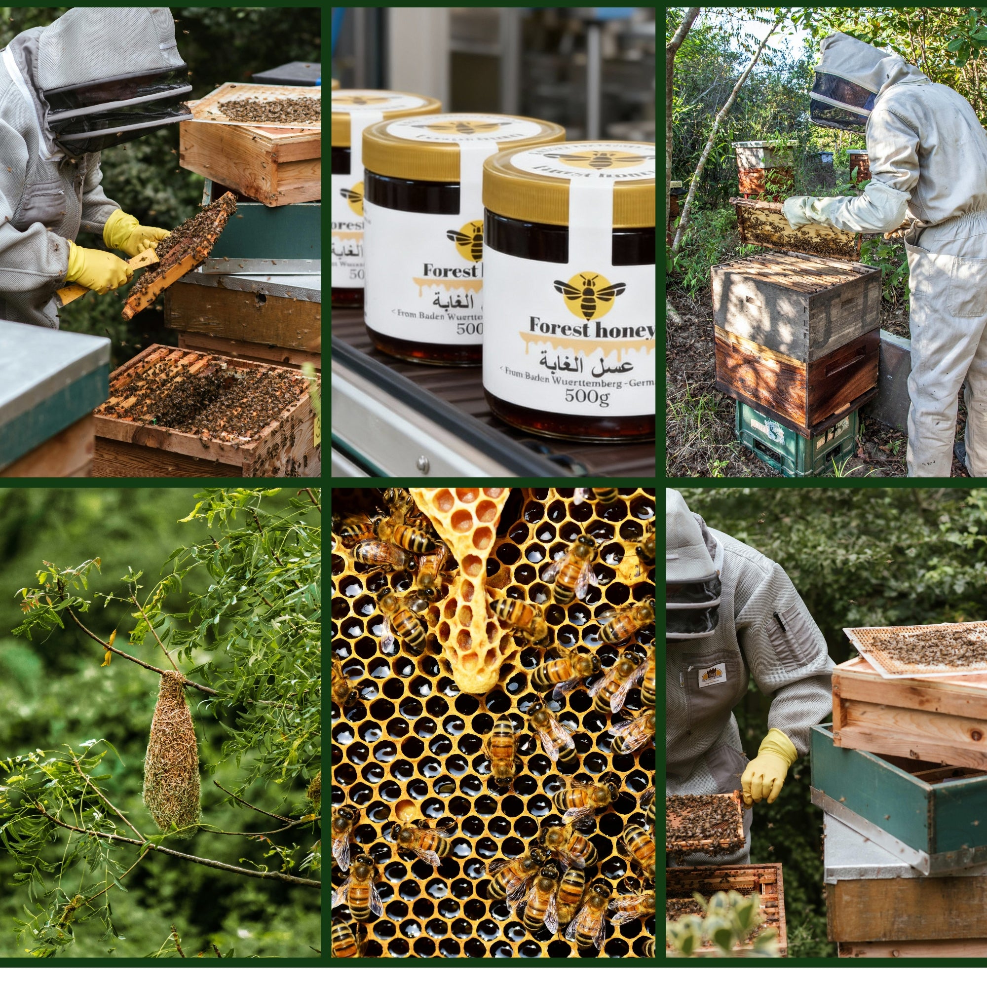 Forest Natural Honey
