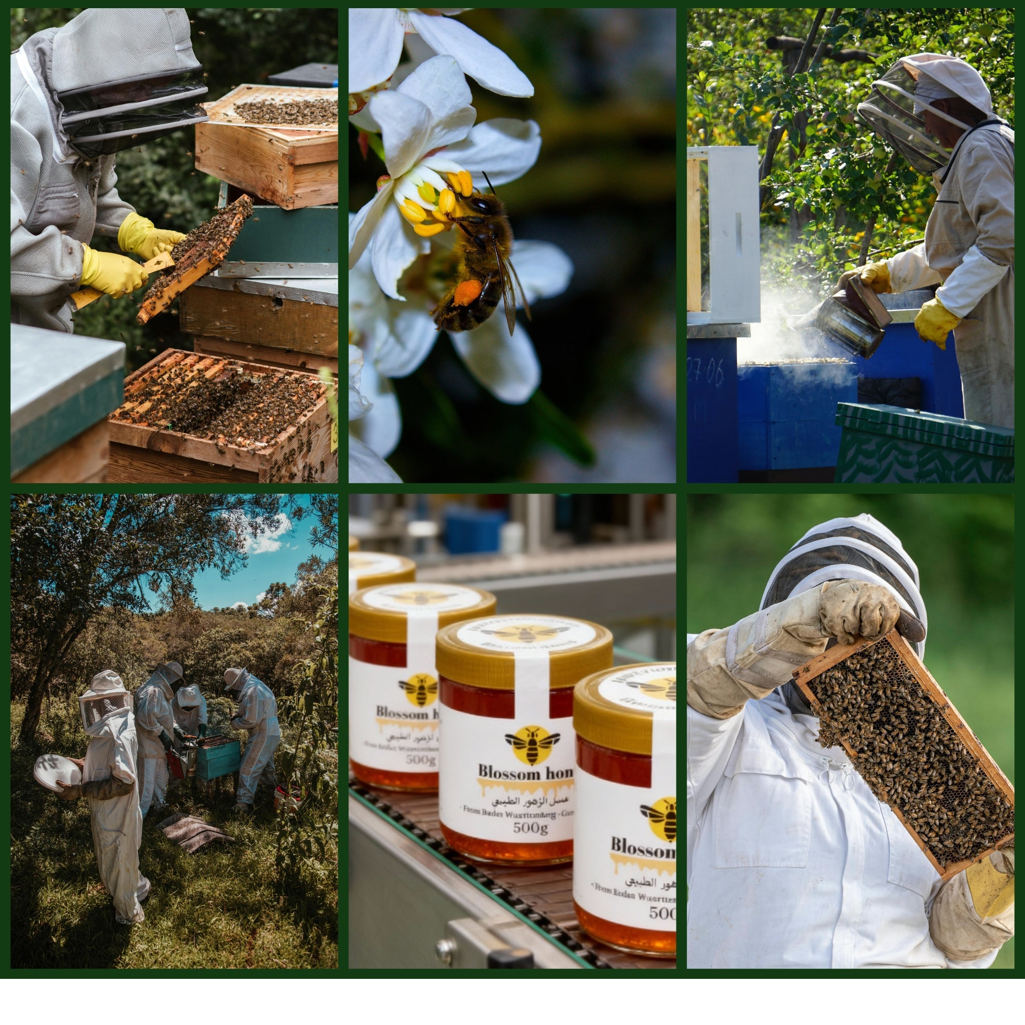 Natural Blossom Honey